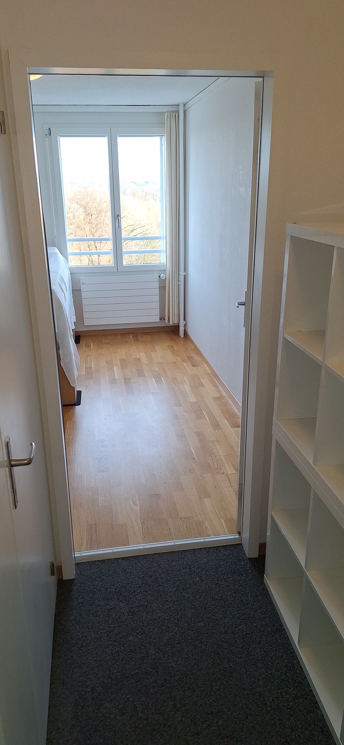 Room in a shared flat