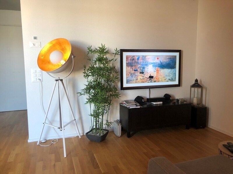 appartamento arredato di 2 ½ locali
