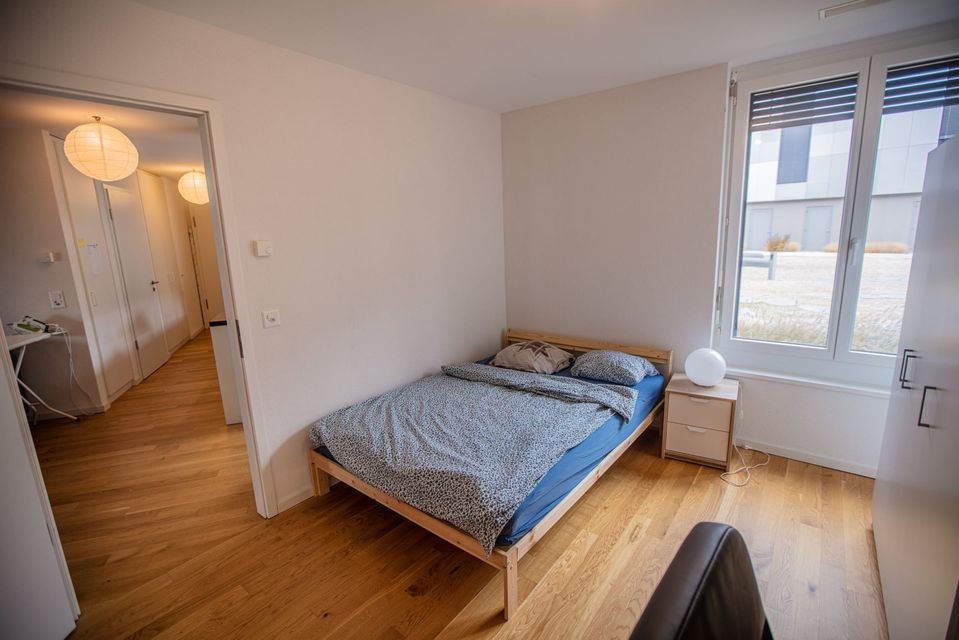 Room in a shared flat