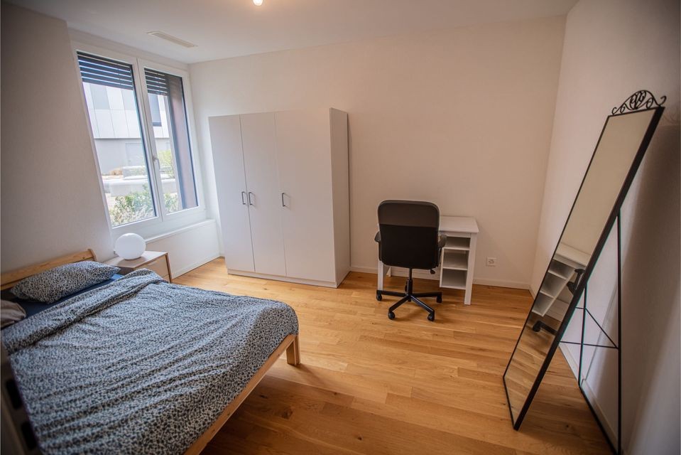 Room in a shared flat