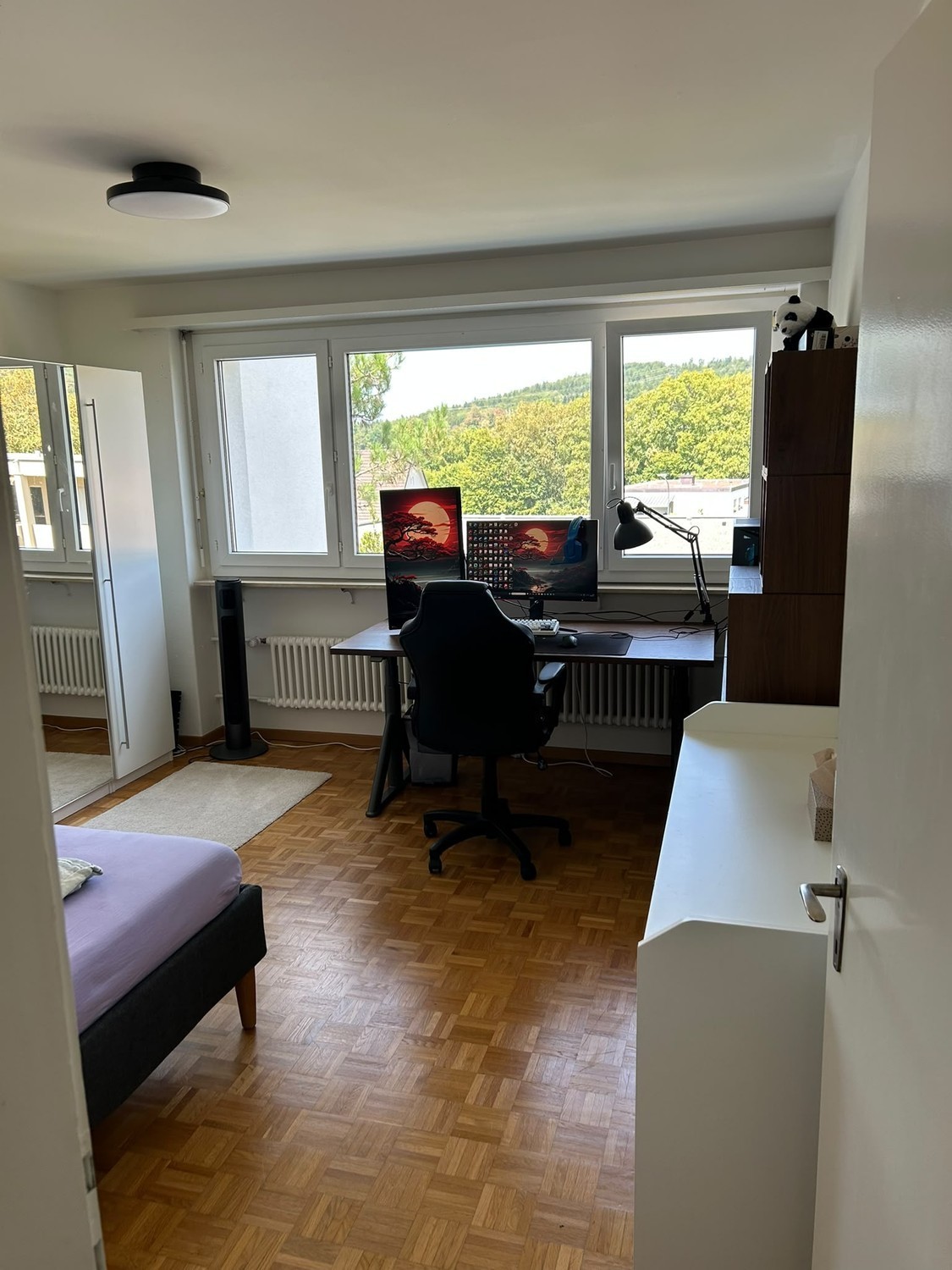 Room in a shared flat