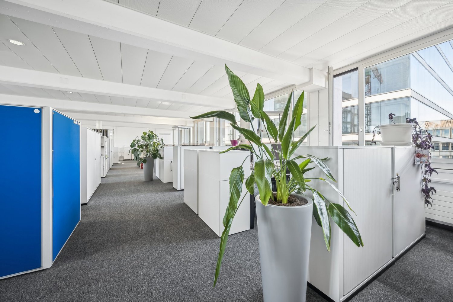405m² office