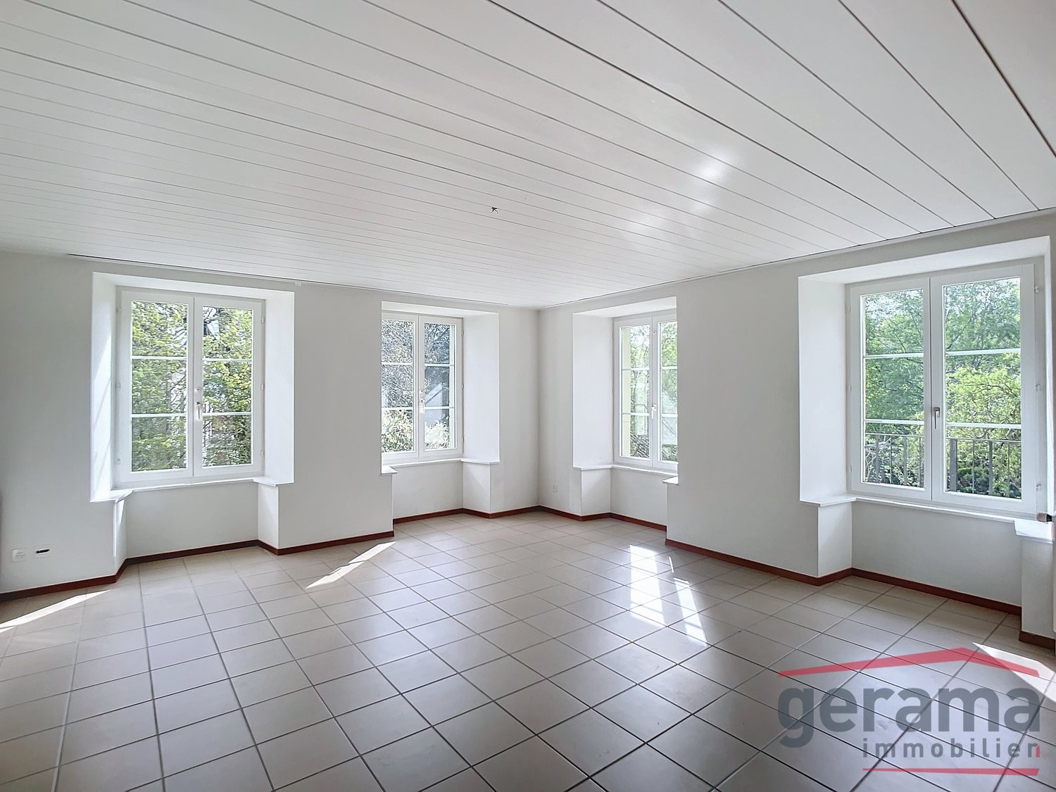 5 ½ rooms apartment