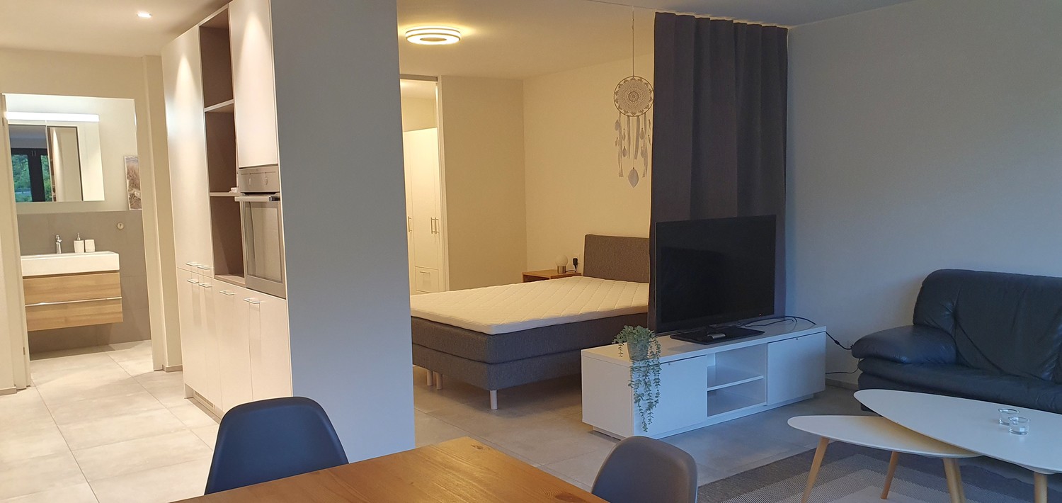 1 ½ rooms apartment