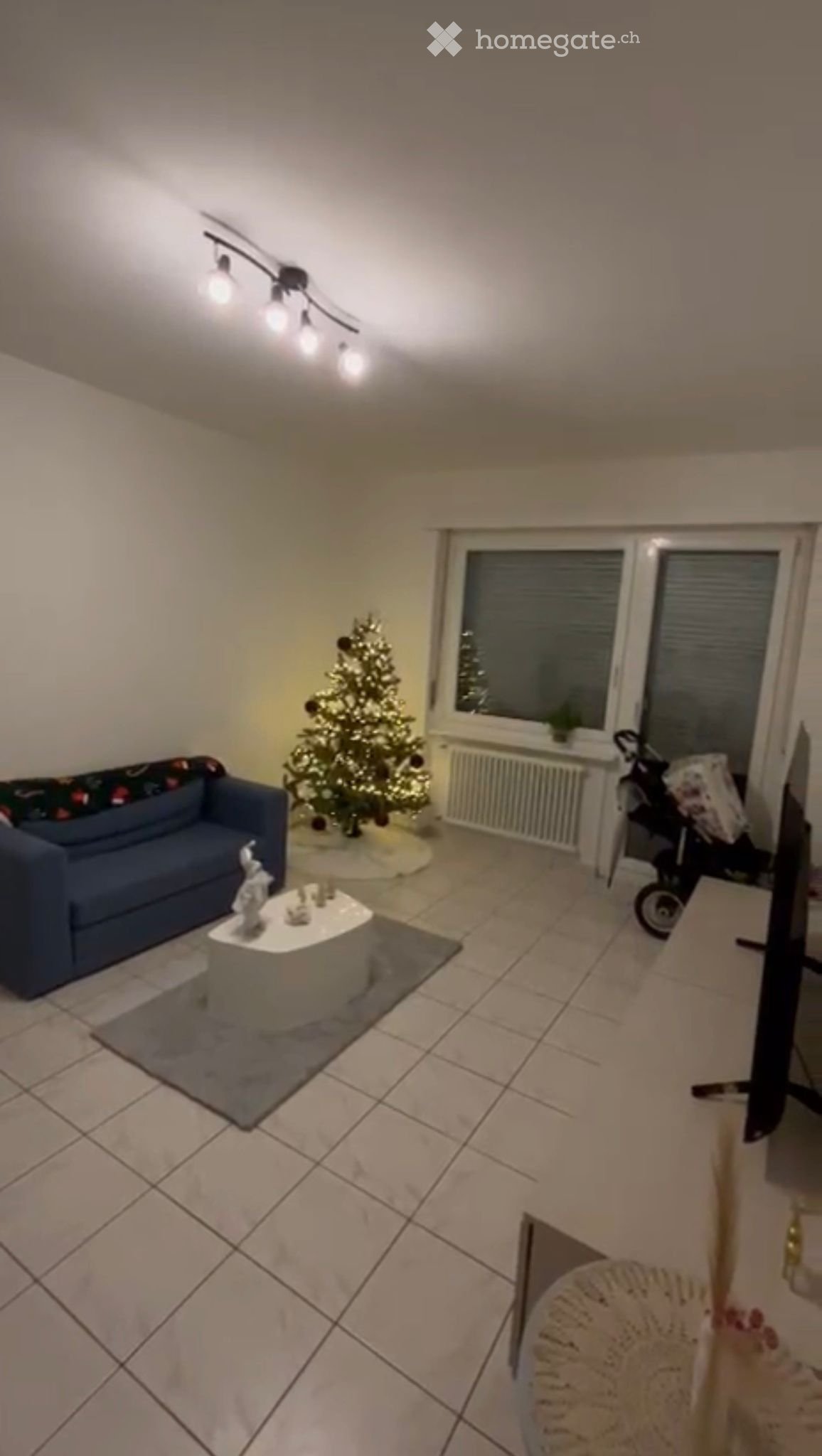 3 ½ Zimmer-Wohnung