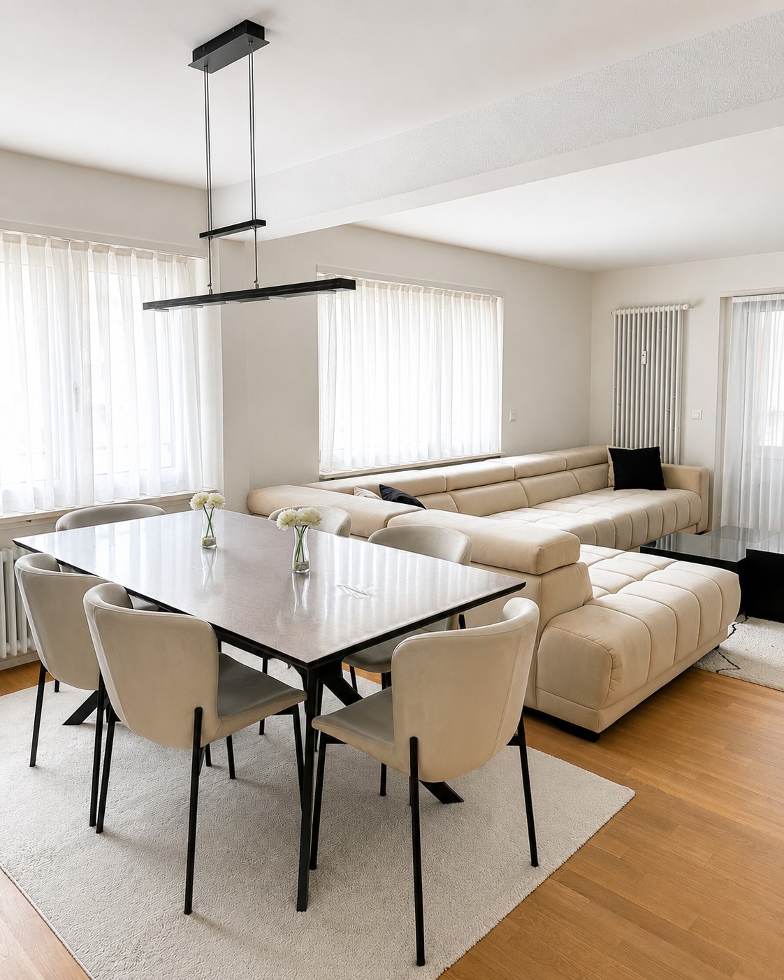 Appartement de 3 ½ pièces