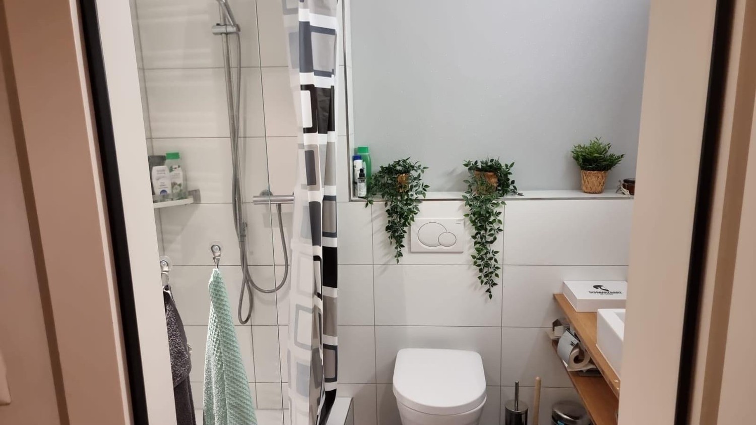 Room in a shared flat