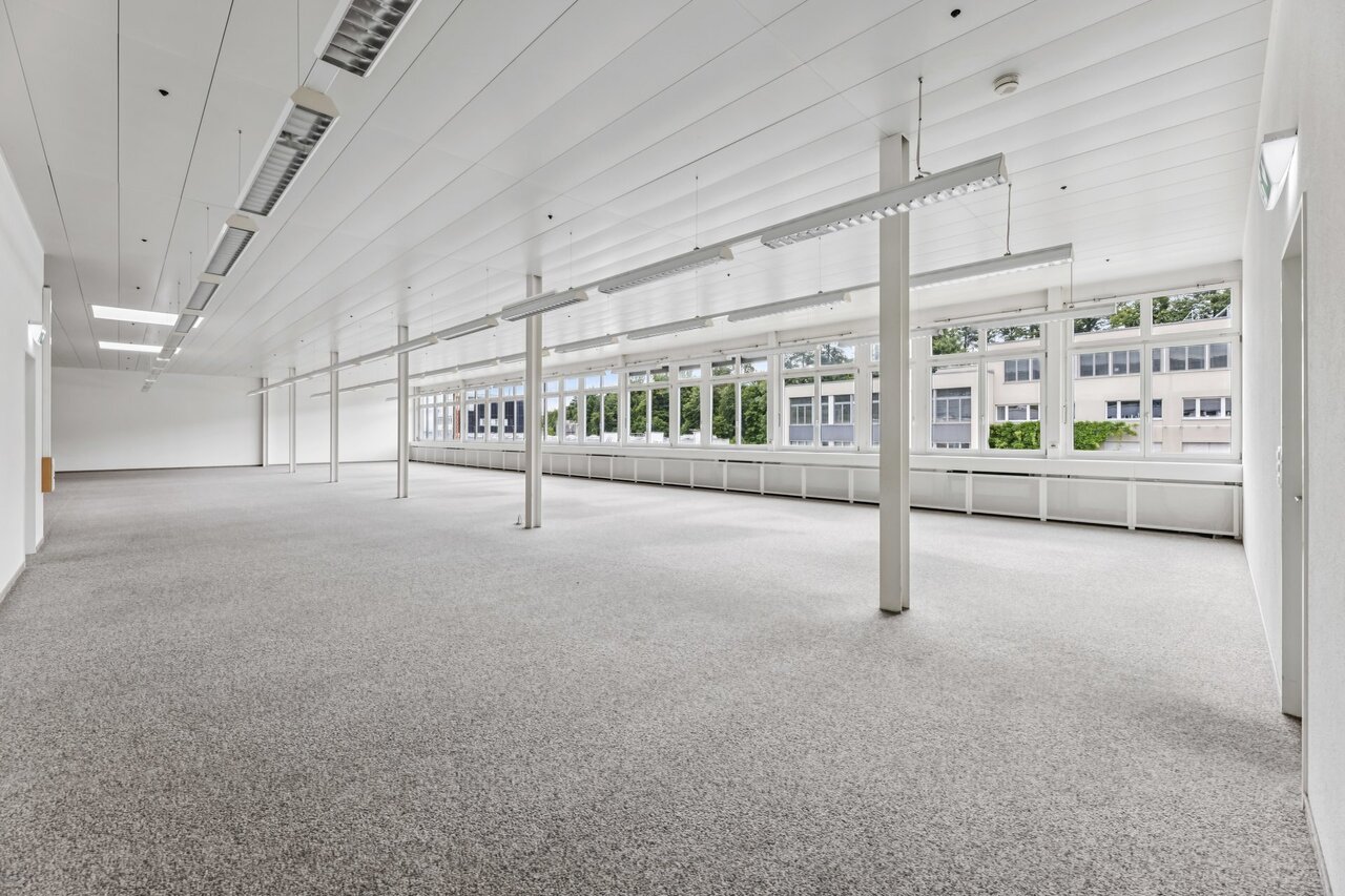 331m² commerciale