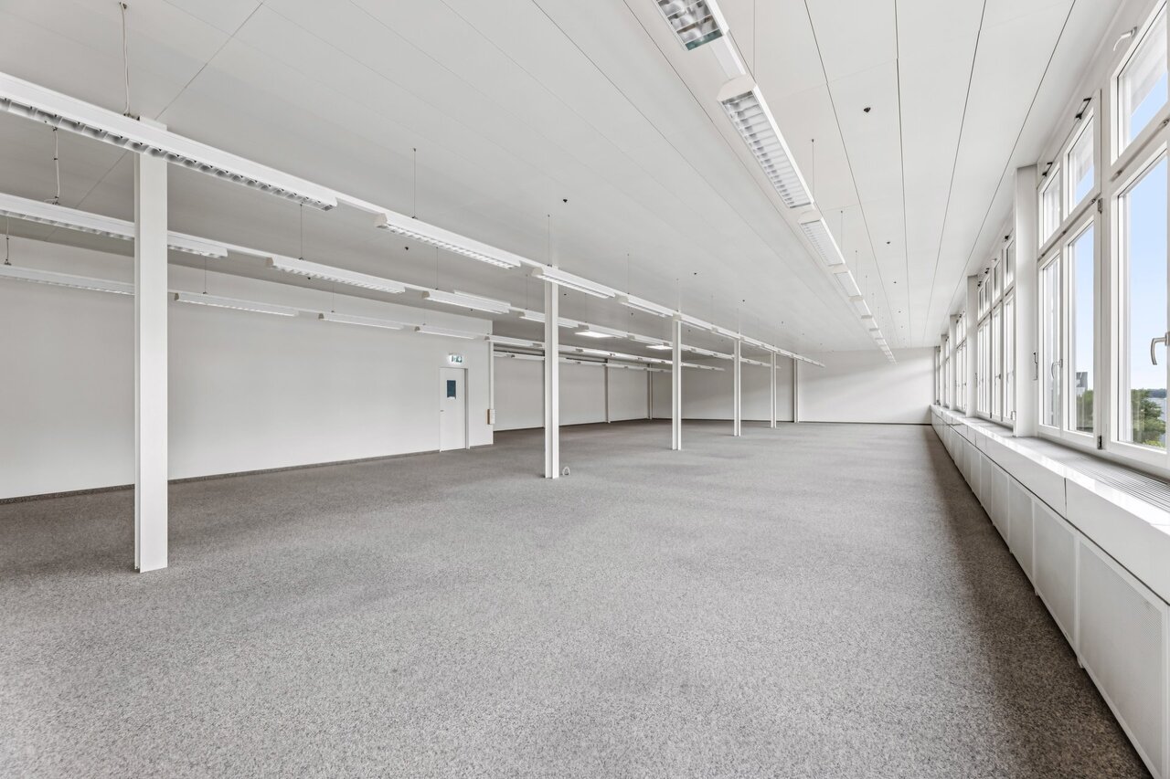 331m² commerciale