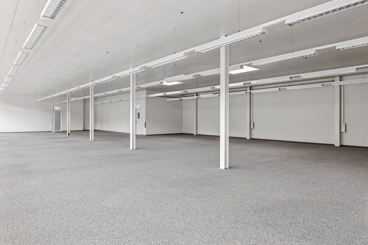 331m² commerciale