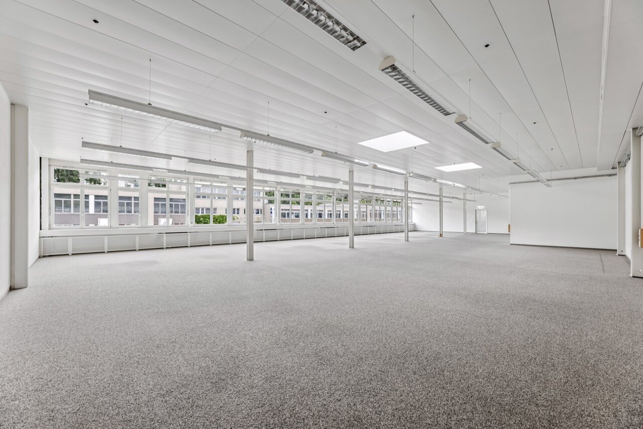 331m² commerciale