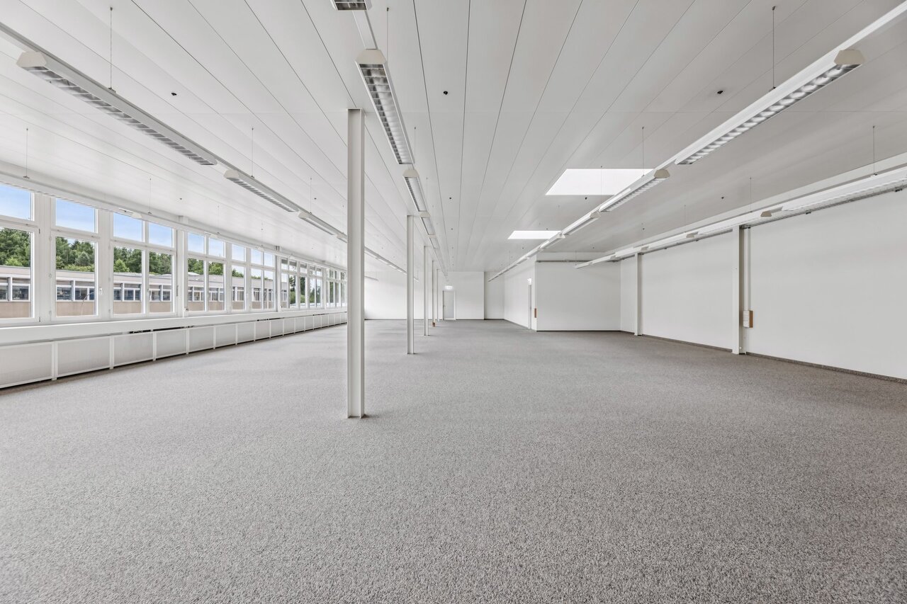 331m² commerciale