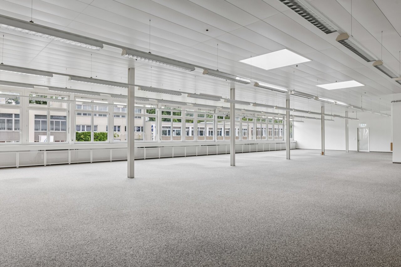 331m² commerciale