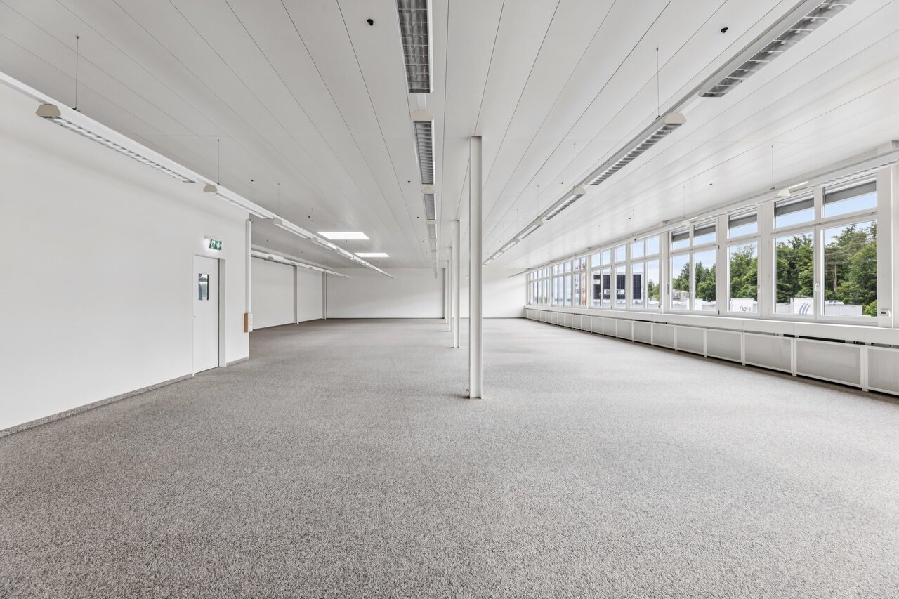 331m² commerciale