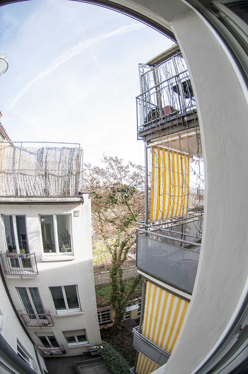 Room in a shared flat
