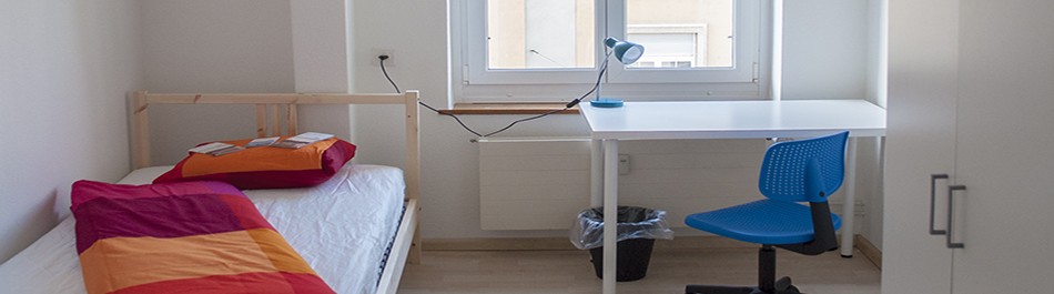 Room in a shared flat