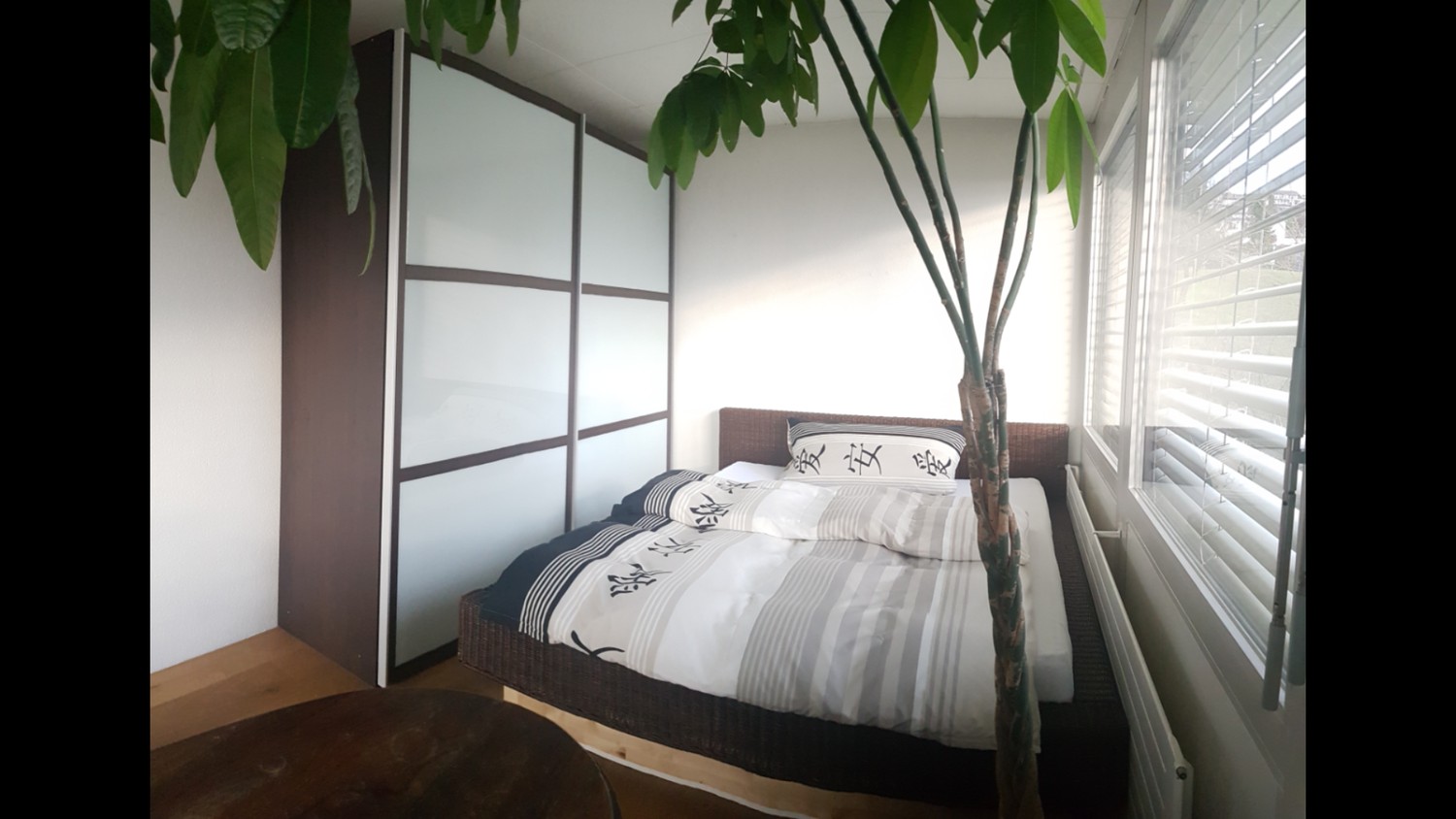Appartement de 1 ½ pièces