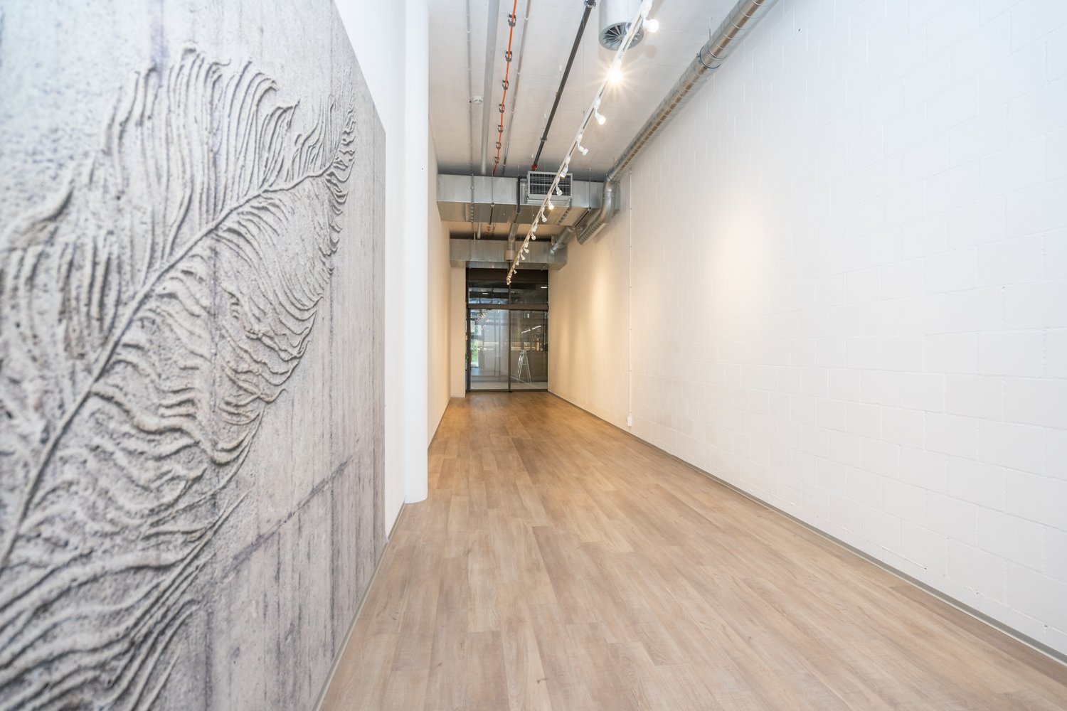 51m² negozio