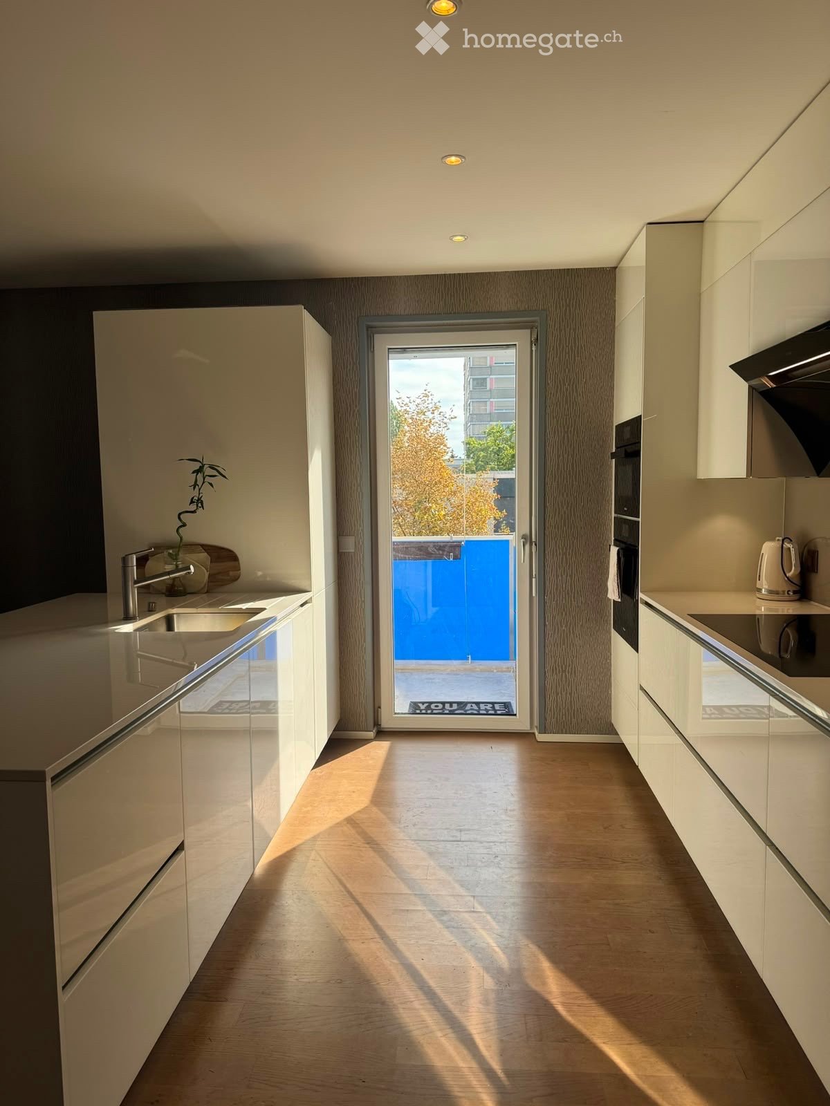 5 Zimmer Wohnung