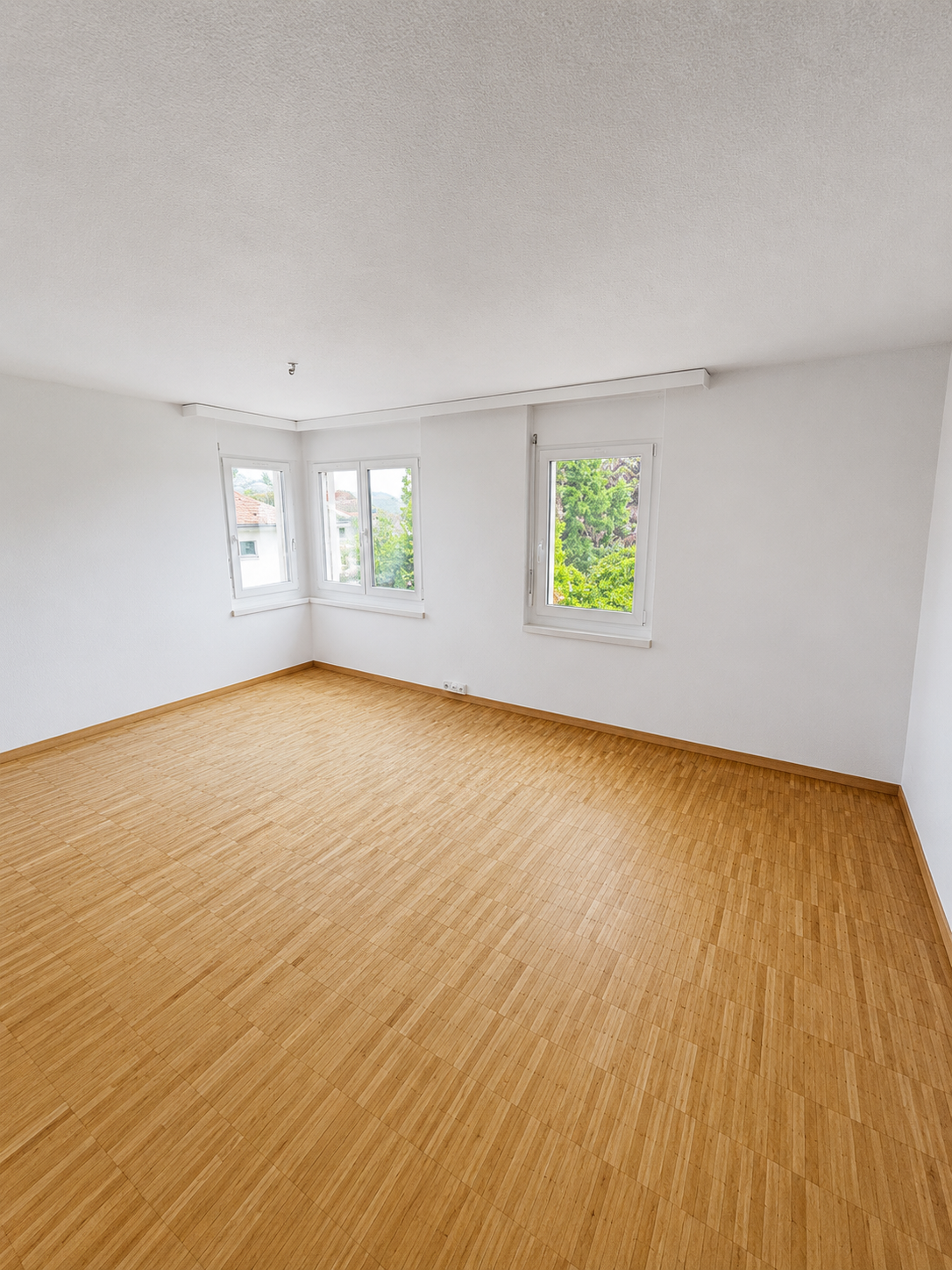 5 ½ rooms apartment