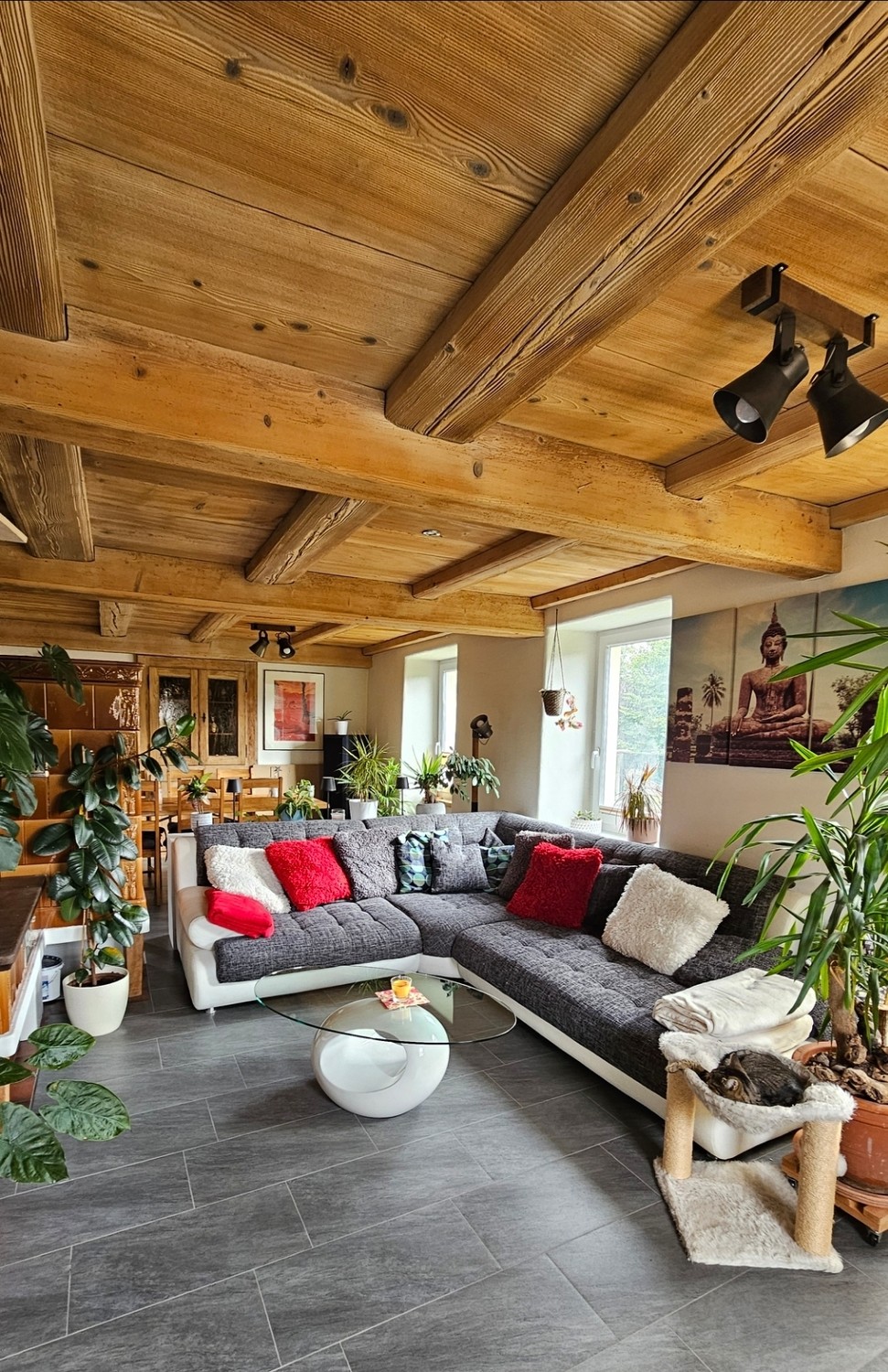 Camera in appartamento condiviso
