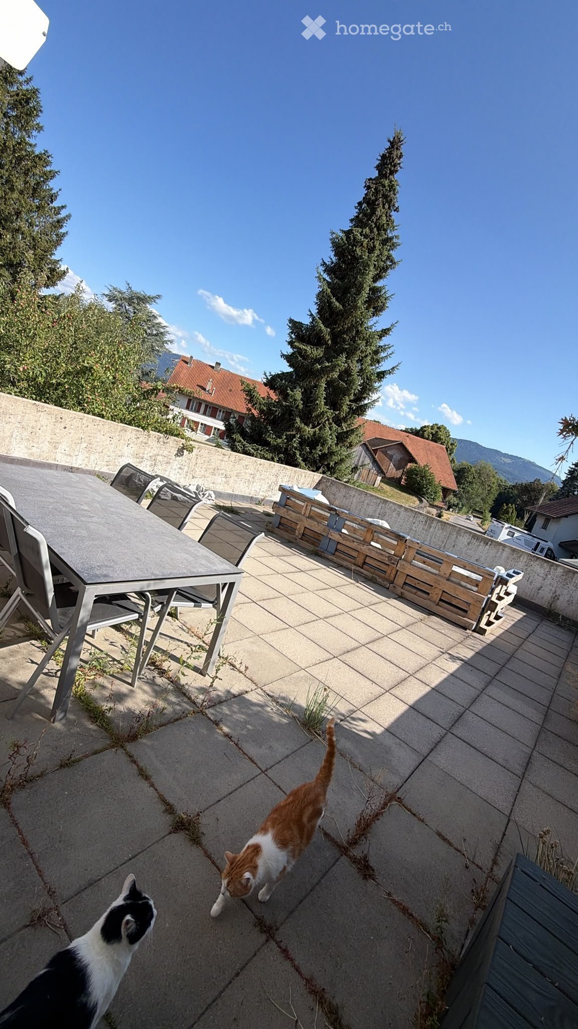 3 ½ Zimmer Wohnung