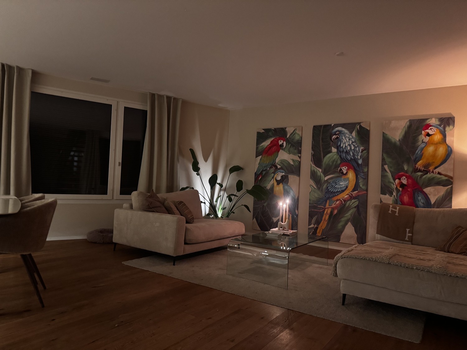 Room in a shared flat
