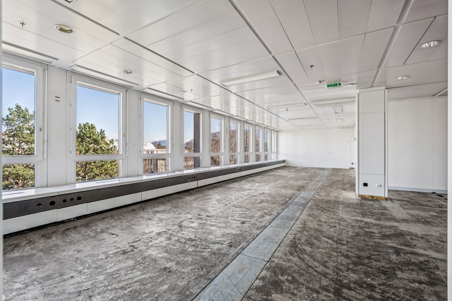 250m² office