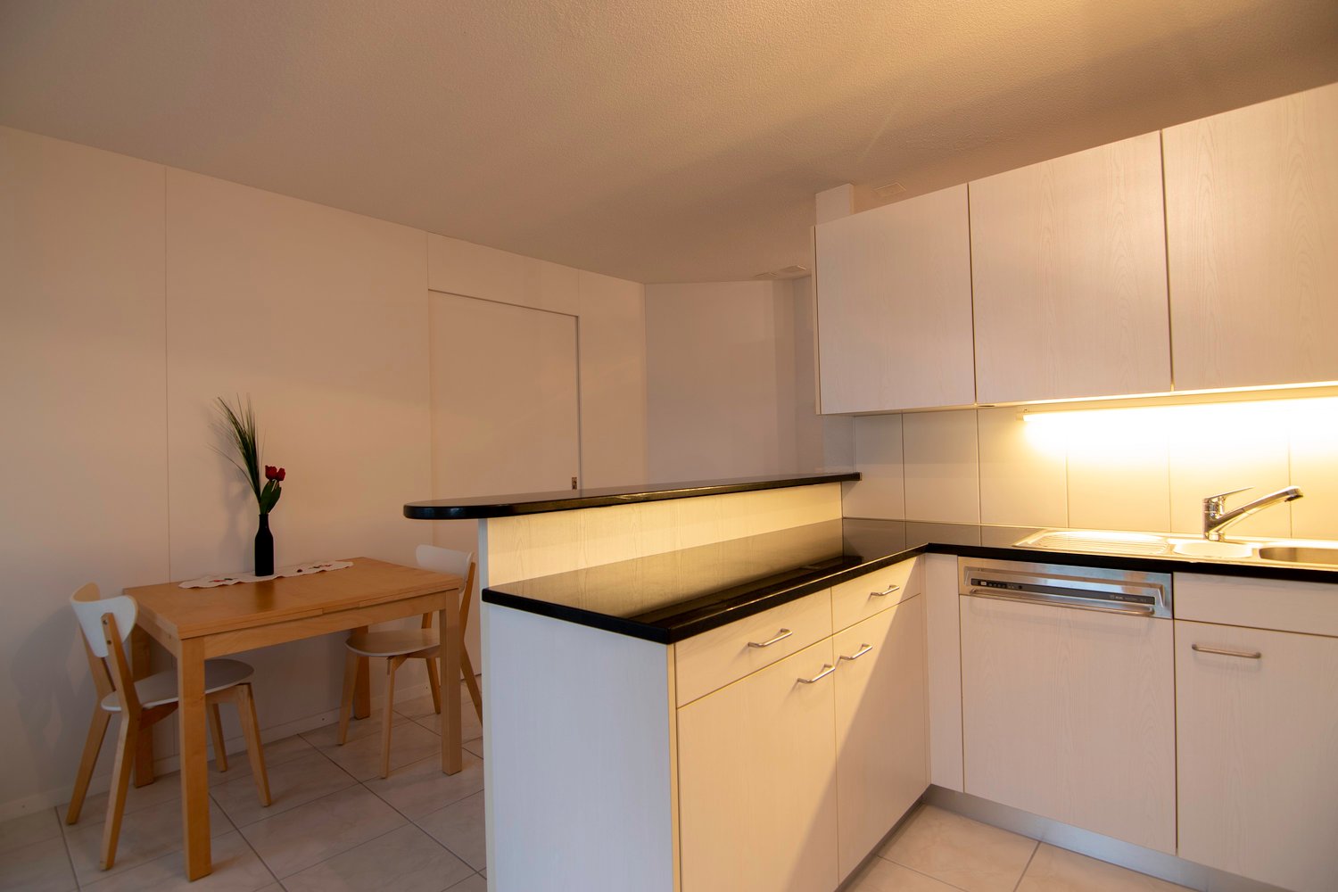 Appartamento arredato di 2 ½ locali