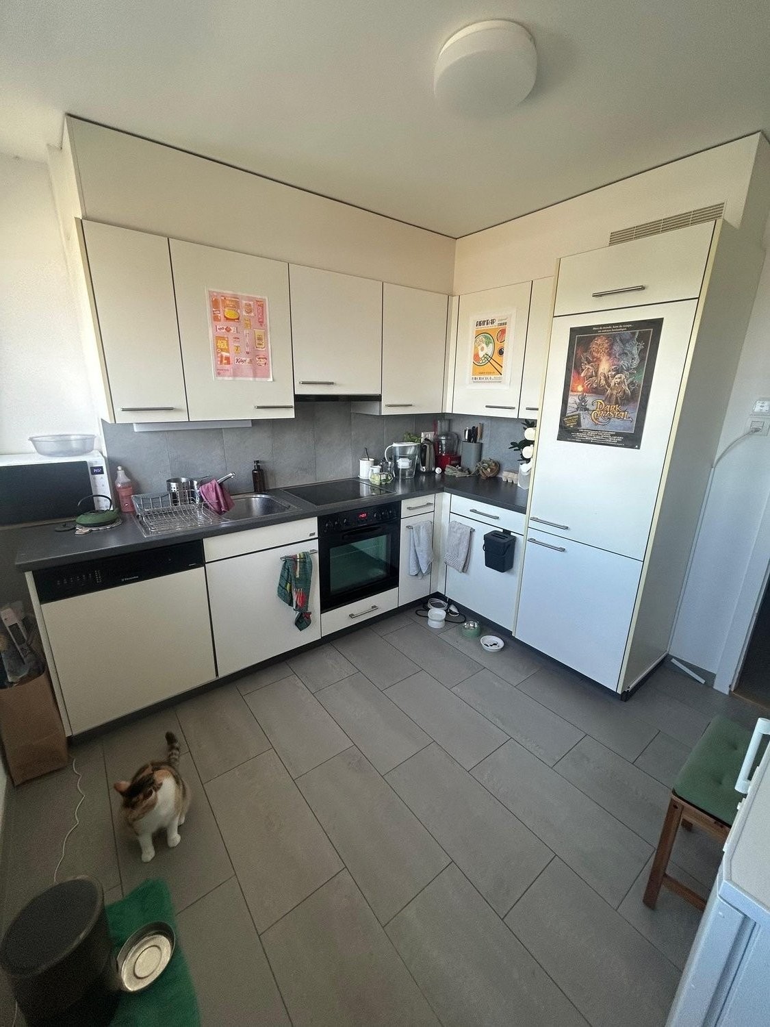 Appartamento di 3 ½ locali