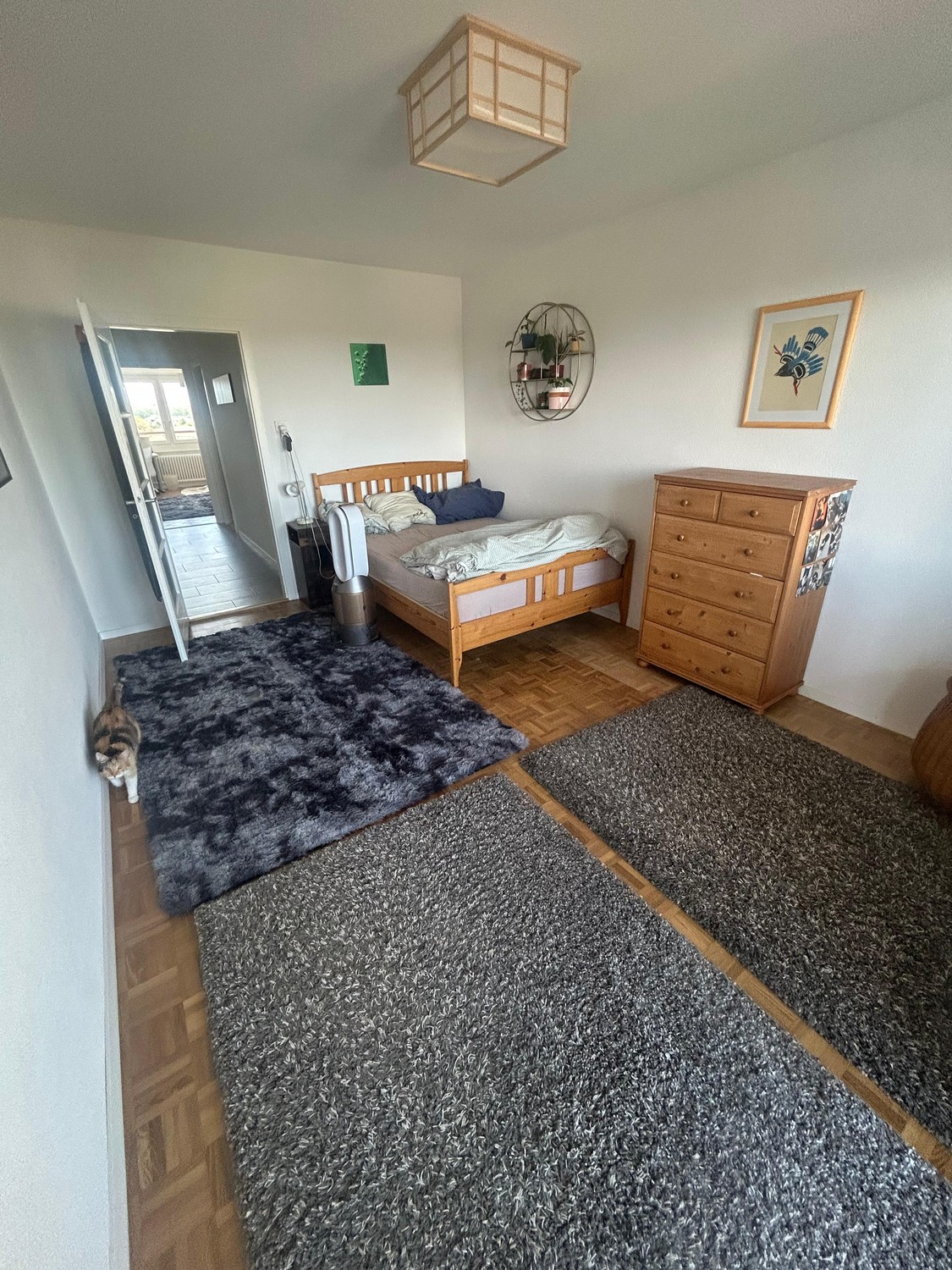 Appartamento di 3 ½ locali