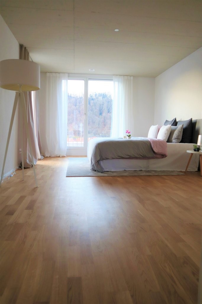 Appartamento di 4 ½ locali","description":"Appartamento ultra moderno e confortevole - lasciatevi convincere dalle seguenti caratteristiche: 

  


L'oggetto dispone di una **splendida e moderna cucina**, che invita a cucinare. I numerosi spazi di stoccaggio e la grande superficie di lavoro sono un 