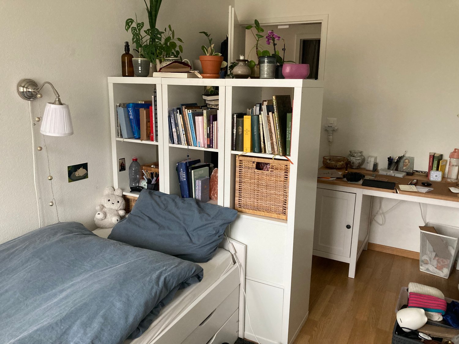 Stanza in un appartamento condiviso
