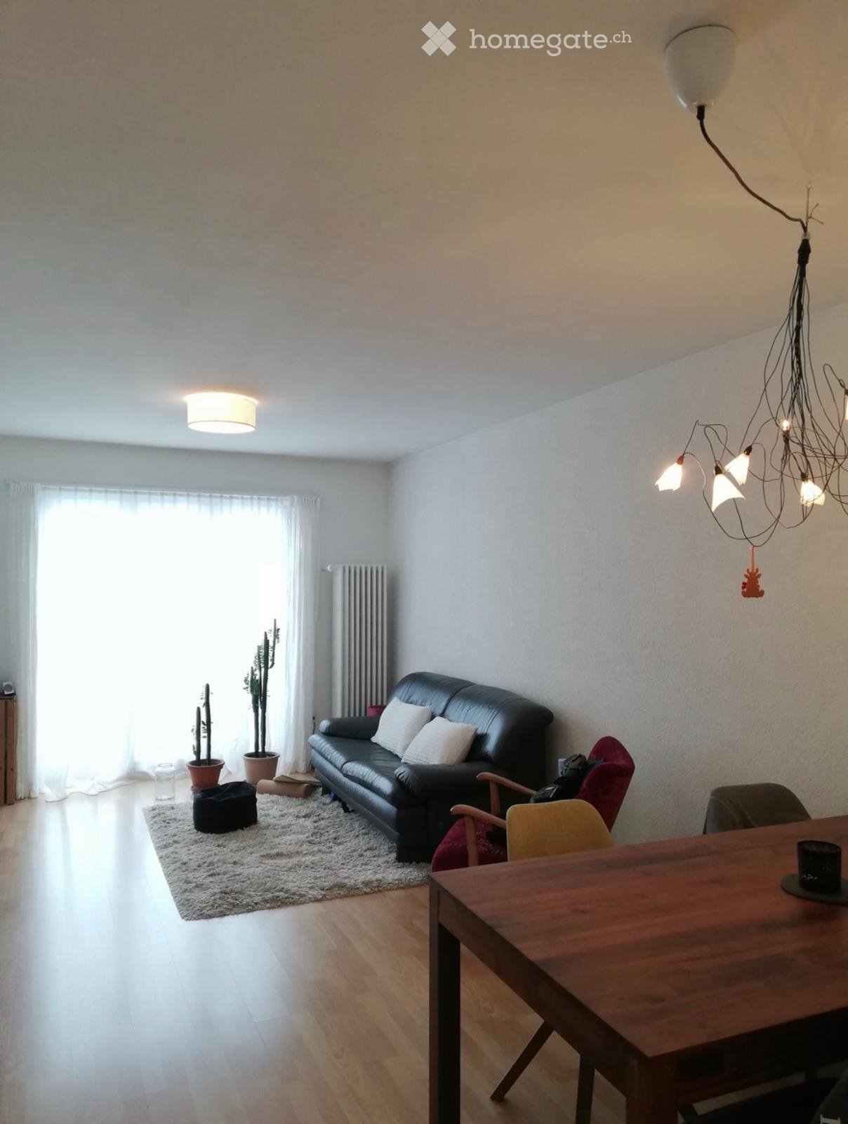 1 room single room