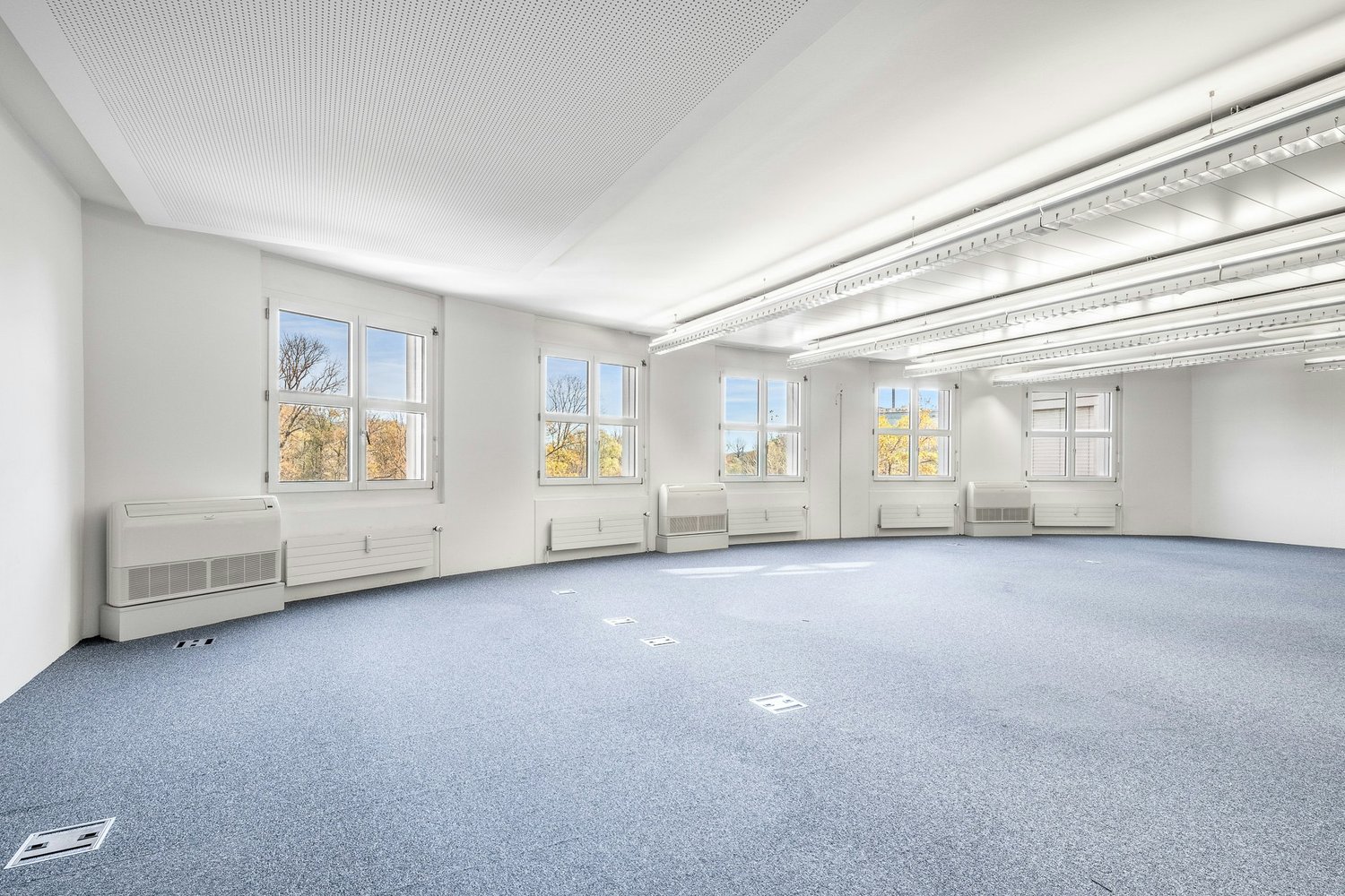 350m² office