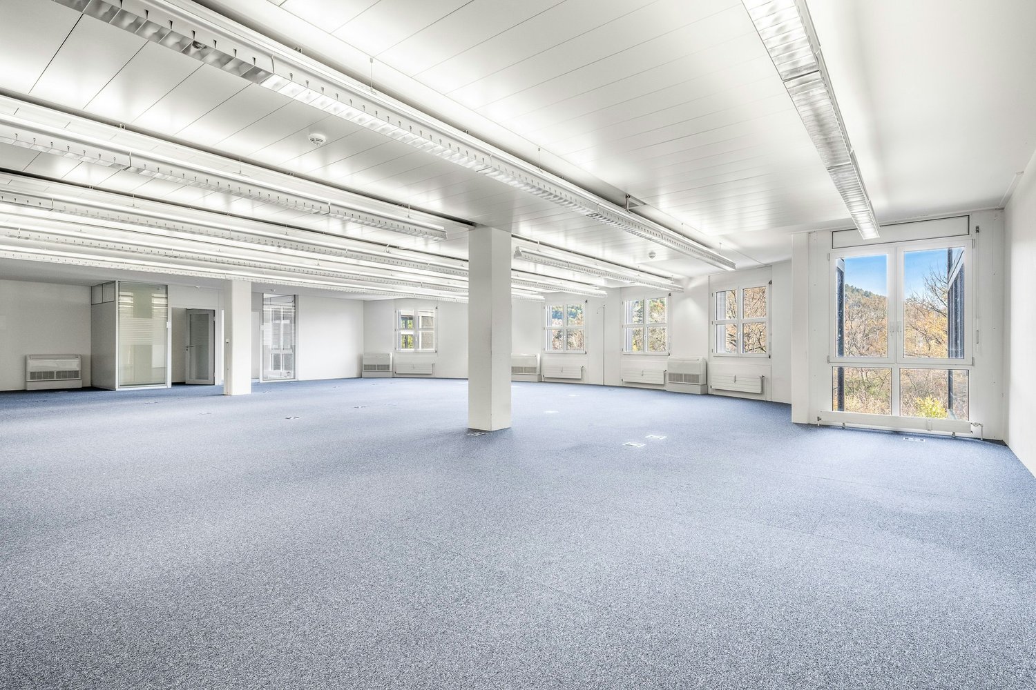 350m² office
