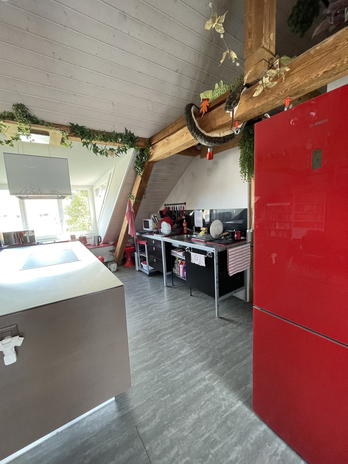 Room in a shared flat