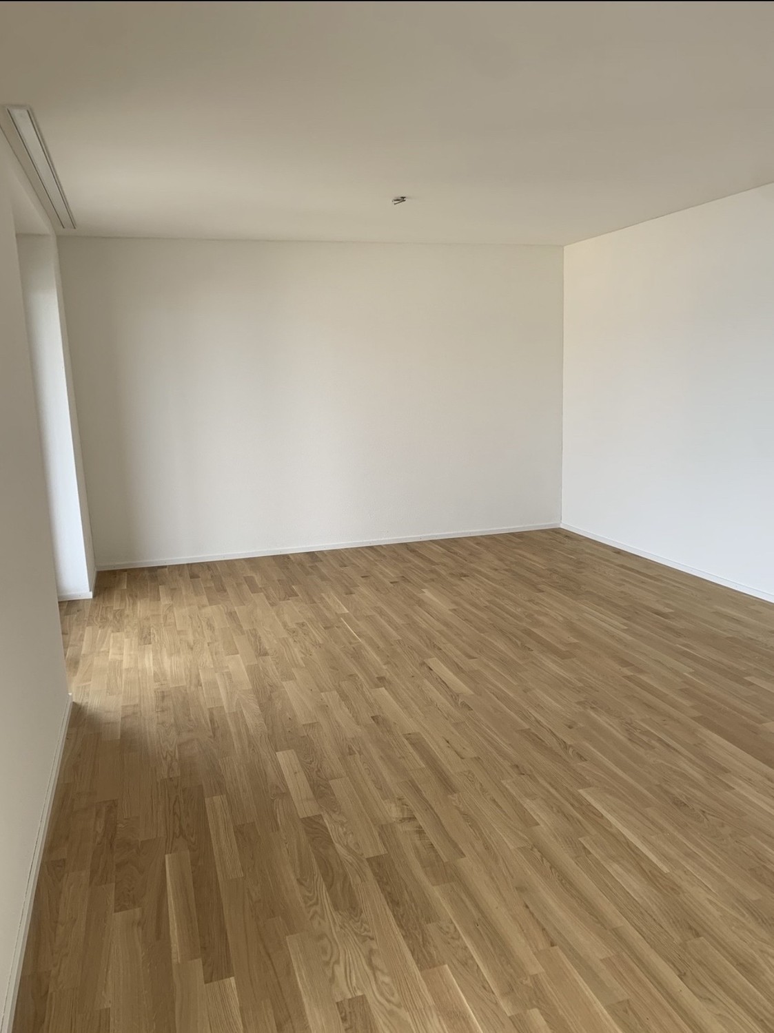 1 ½ Zimmer-Wohnung