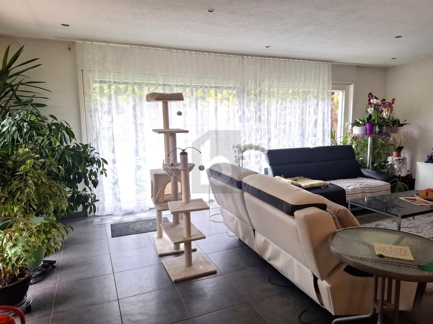 6 locali casa a schiera
