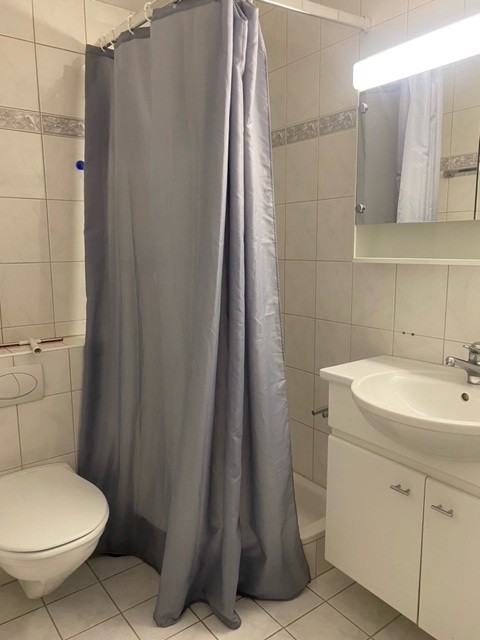 1 room furnished flat