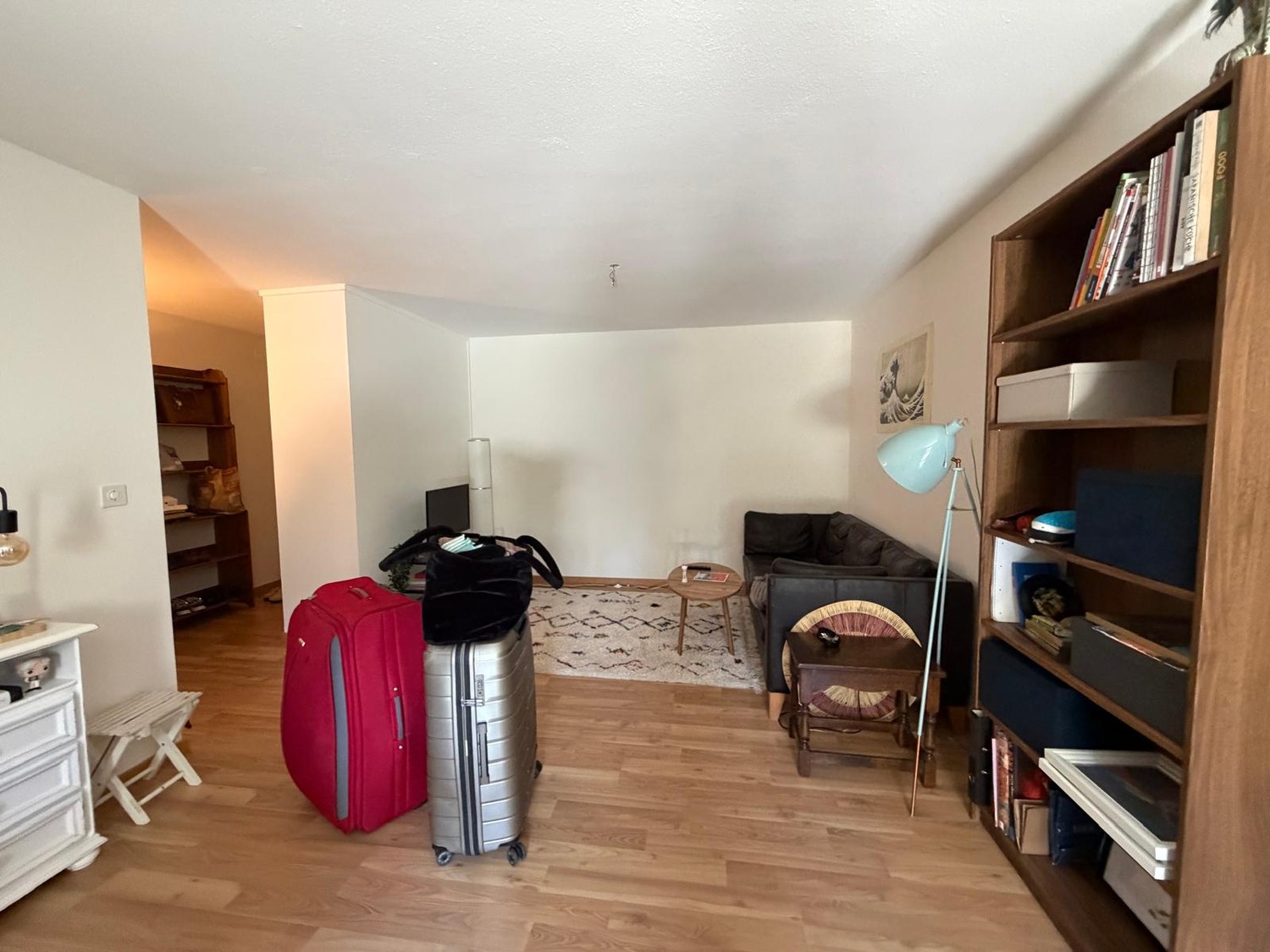Appartement de 3 ½ pièces