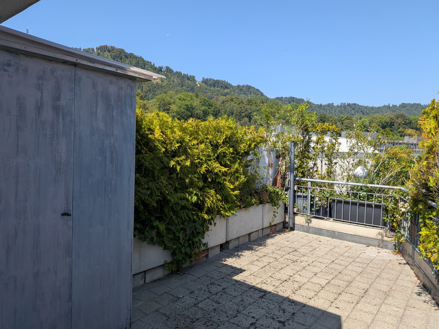 Appartamento di 3 ½ locali