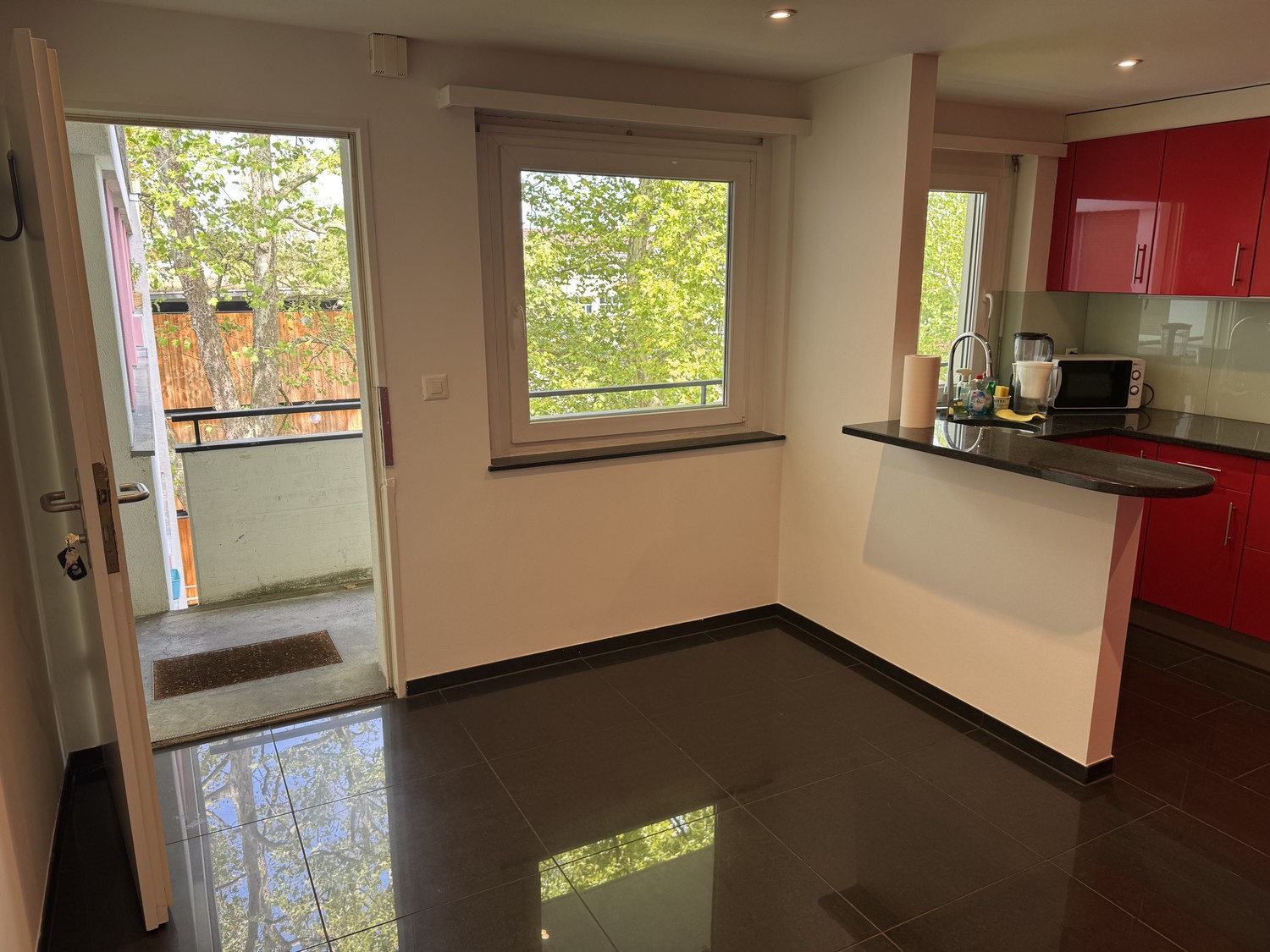 Appartamento di 2 ½ locali