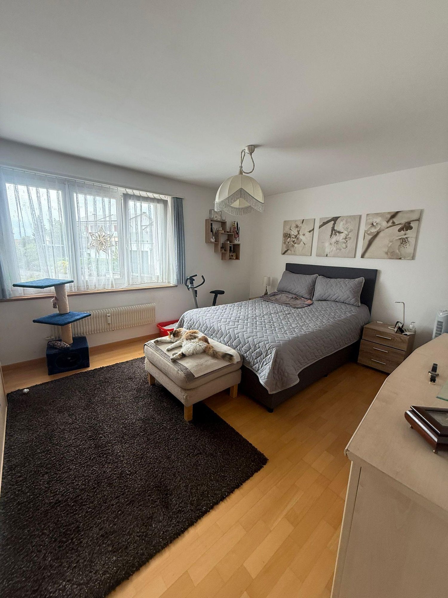 Appartamento di 3 ½ locali
