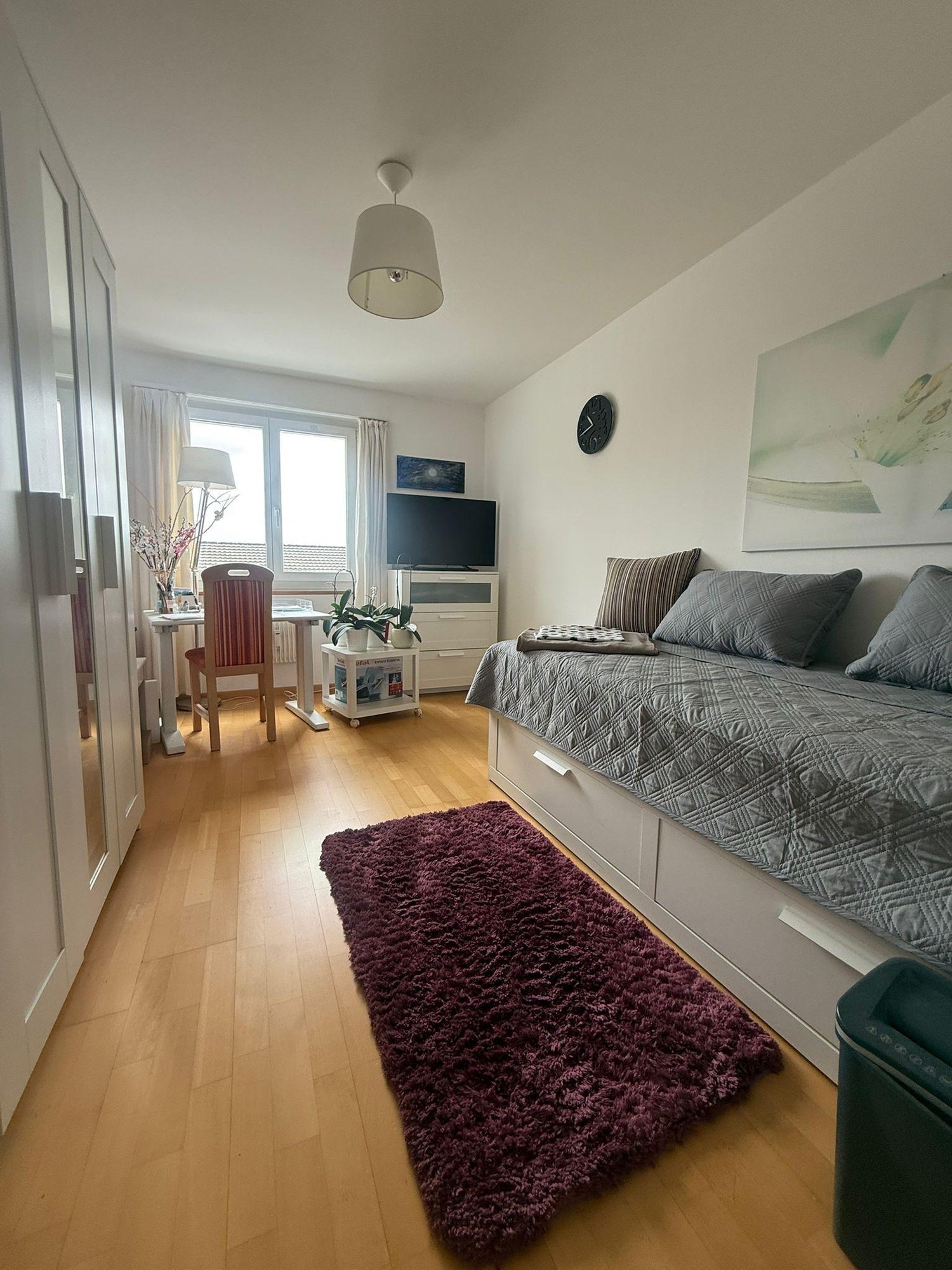 Appartamento di 3 ½ locali