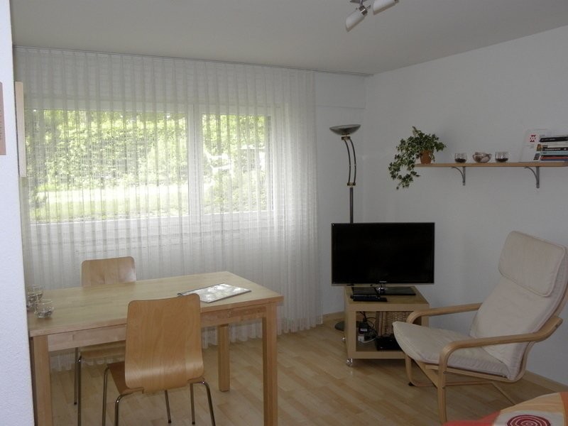 1 room furnished flat