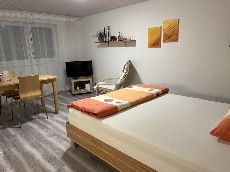 1 room furnished flat