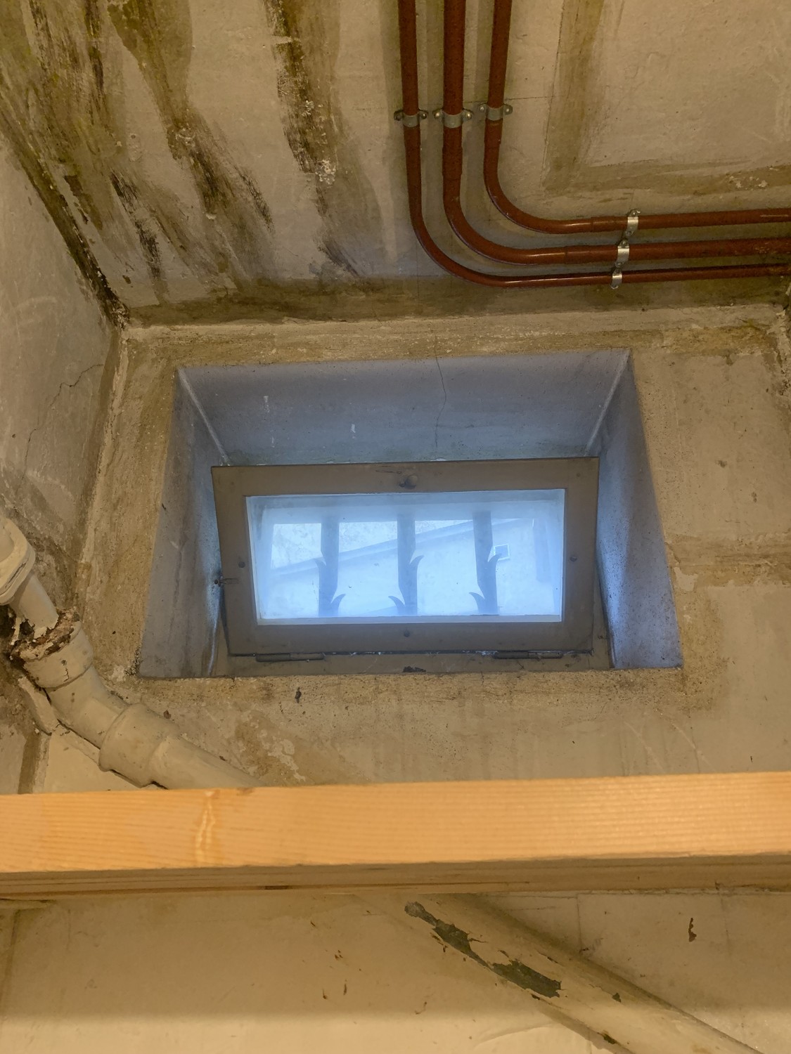 6m² commerciale