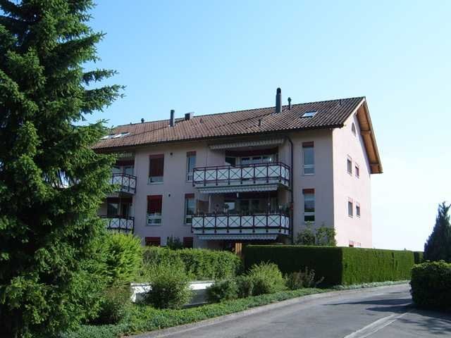 Duplex de 6 ½ pièces

Le spacieux appartement est situé dans le quartier de Rüeggisingen, avec une vue imprenable sur le Pilatus et bénéficie d'un excellent ensoleillement.   
  
L'appartement dispose de parquets, d'une cuisine pratique, d'une salle de bain/WC ainsi que d'une douche/WC et d'un lave-