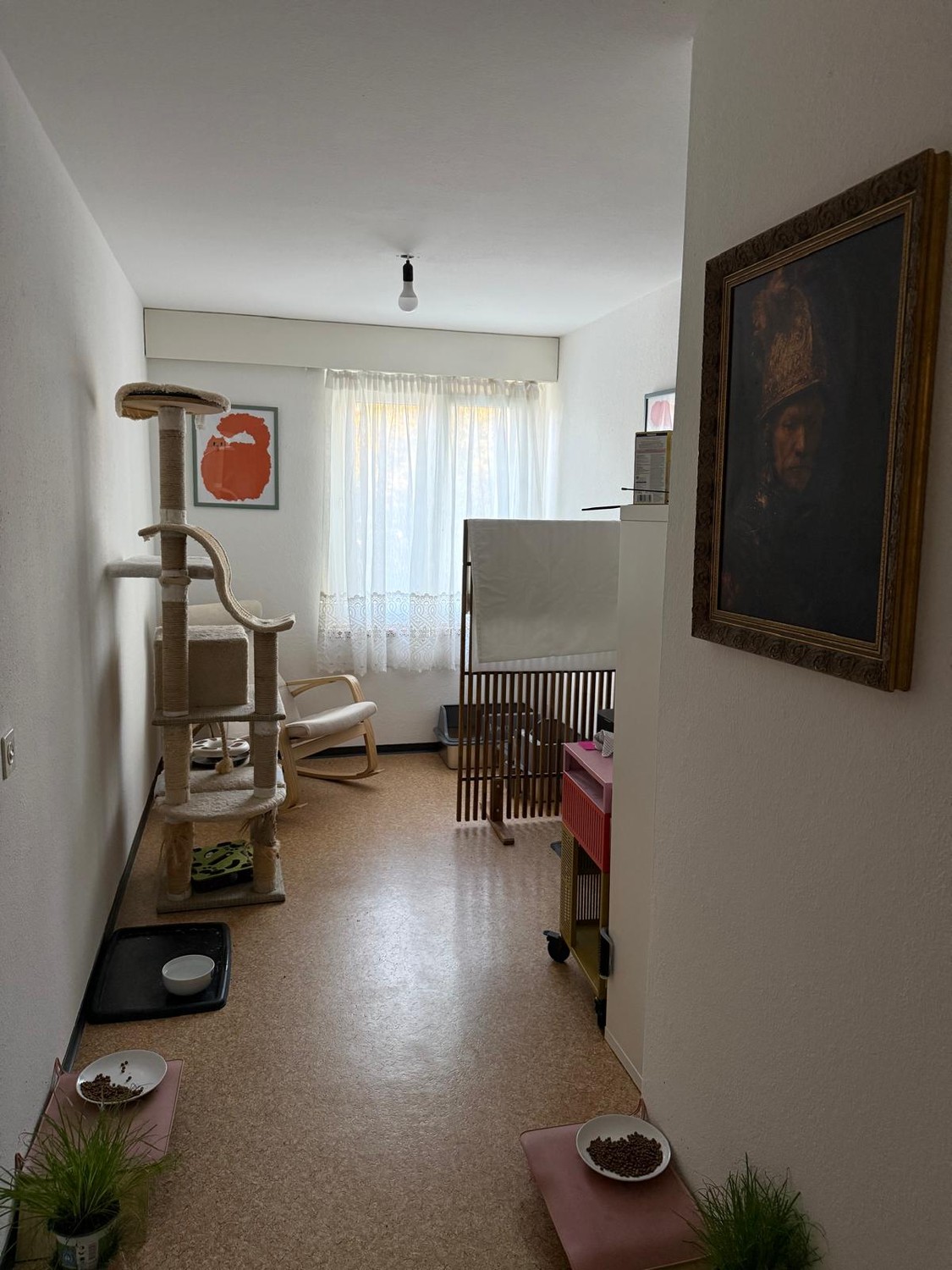 Appartamento di 3 ½ locali